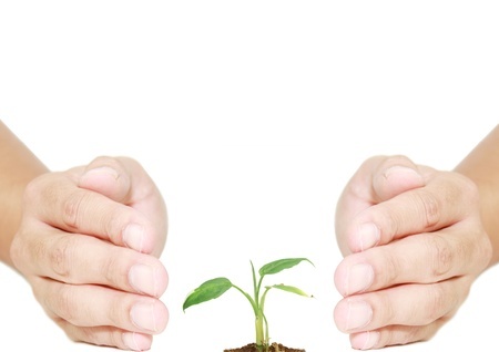 השתלמויות לחונכים