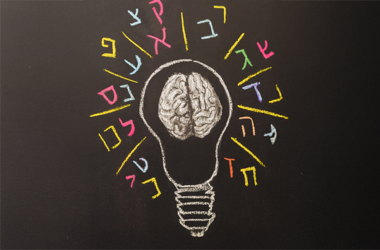 התמקצעות בהוראת עברית כשפה שנייה בתפוצות