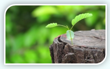 השתלמויות למורים חדשים